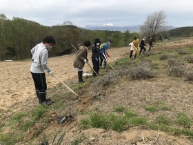 黒瀬ラベンダー園のボランティア作業