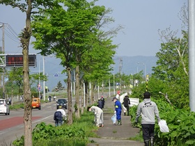 ゴミ回収の様子