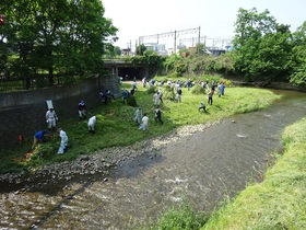 刈り取った草を集めている様子