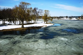 北光公園の沼