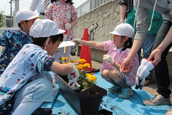 プランターに植栽しているところ