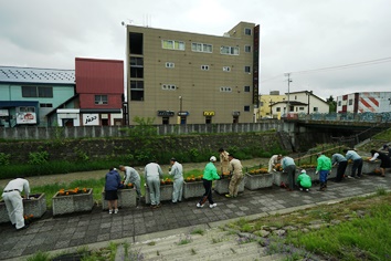 植栽している様子