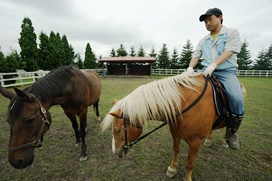 ソメスサドルで馬とのふれあい