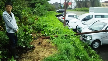 防犯灯が倒れ、職員が駆けつけた