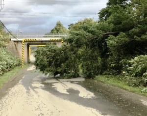 空知太市道