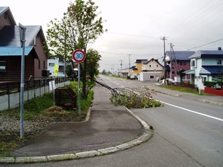 空知太住宅街