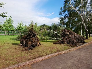 総合体育館・野球場2