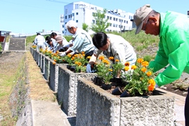 パンケ歌志内川河岸親水広場草花植栽会