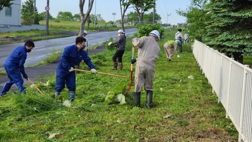 刈り取られた大量の雑草