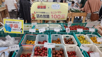 奥山農園ミニトマト詰め放題