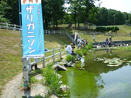 水辺で遊ぶ子どもたちの様子1