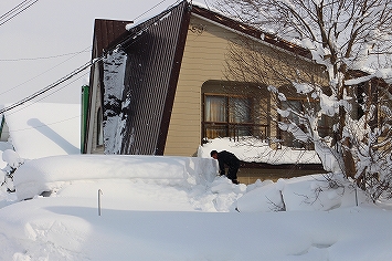 除雪ボランティア