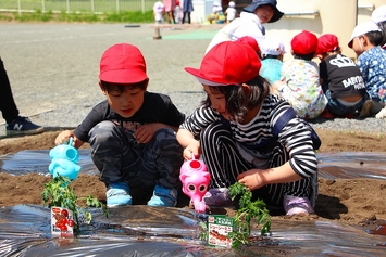 コメリ植栽